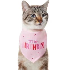 Frisco Dog & Cat Birthday Bandana -Pawfect Care 608206 PT2. AC SS1800 V1676644511