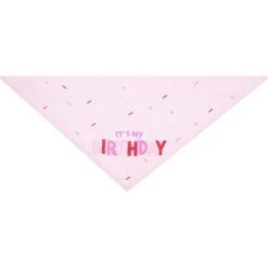 Frisco Dog & Cat Birthday Bandana -Pawfect Care 608206 PT4. AC SS1800 V1676586068