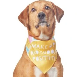 Frisco Wake Up Positive Dog & Cat Bandana -Pawfect Care 608230 PT3. AC SS1800 V1676643831