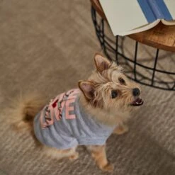 Frisco I Love Daddy Heart Dog & Cat T-Shirt -Pawfect Care 608262 PT7. AC SS1800 V1676585954