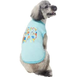Frisco Birthday Celebration Dog & Cat T-Shirt -Pawfect Care 608318 PT3. AC SS1800 V1676643253