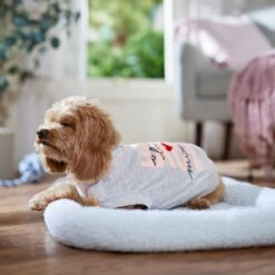 Frisco I Love Mommy Heart Dog & Cat T-Shirt -Pawfect Care 608382 PT7. AC SS1800 V1676643805