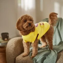 Frisco Mama's Sunshine Dog & Cat T-Shirt -Pawfect Care 608446 PT7. AC SS1800 V1676586009