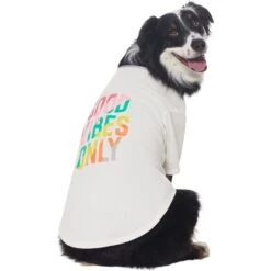Frisco Good Vibes Only Dog & Cat T-Shirt -Pawfect Care 608518 PT3. AC SS1800 V1676642216