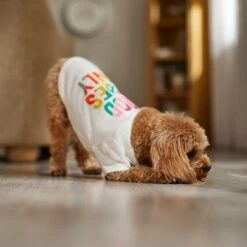 Frisco Good Vibes Only Dog & Cat T-Shirt -Pawfect Care 608518 PT7. AC SS1800 V1676644453