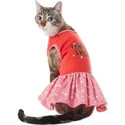 Frisco Time To Shine Dog & Cat Dress -Pawfect Care 608638 PT2. AC SS1800 V1676643324