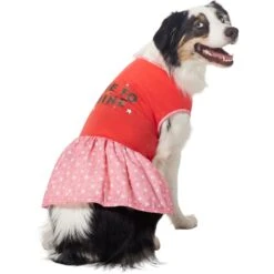 Frisco Time To Shine Dog & Cat Dress -Pawfect Care 608638 PT3. AC SS1800 V1676644904