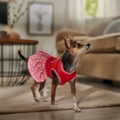 Frisco Time To Shine Dog & Cat Dress -Pawfect Care 608638 PT7. AC SS1800 V1676643324