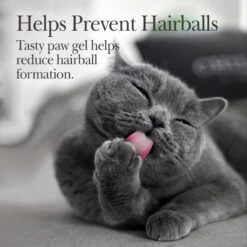 Nutri-Vet Chicken Flavored Gel Hairball Control Supplement For Cats -Pawfect Care 61056 PT2. AC SS1800 V1657660700