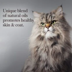 Nutri-Vet Chicken Flavored Gel Hairball Control Supplement For Cats -Pawfect Care 61056 PT3. AC SS1800 V1589817062