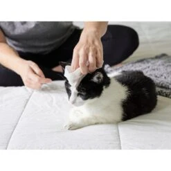 Pet Parents Pet WiPees Cat All Purpose Cat Cleaning Wipes, 100 Count -Pawfect Care 614158 PT3. AC SS1800 V1660253896