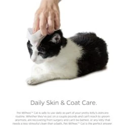 Pet Parents Pet WiPees Cat All Purpose Cat Cleaning Wipes, 100 Count -Pawfect Care 614158 PT5. AC SS1800 V1695757322