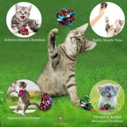 SunGrow Interactive Colorful Indoor Cat & Ferret Mylar Crinkle Balls & Chase Toy, 2-in, 24 Count -Pawfect Care 616582 PT2. AC SS1800 V1672337766
