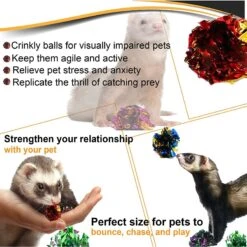SunGrow Interactive Colorful Indoor Cat & Ferret Mylar Crinkle Balls & Chase Toy, 2-in, 24 Count -Pawfect Care 616582 PT5. AC SS1800 V1673973769