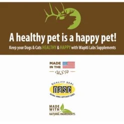 Wapiti Labs G.I. Tract Homeopathic Medicine For Digestive Issues For Cats -Pawfect Care 61769 PT8. AC SS1800 V1582746936