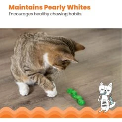 Catstages ORKAkat Wiggle Worm Cat Toy With Catnip -Pawfect Care 62030 PT3. AC SS1800 V1636497479