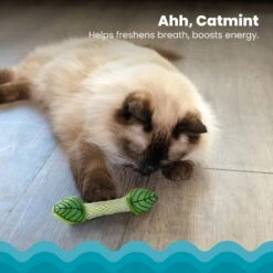 Catstages Fresh Breath Mint Stick Cat Chew Toy -Pawfect Care 62044 PT2. AC SS1800 V1636519877