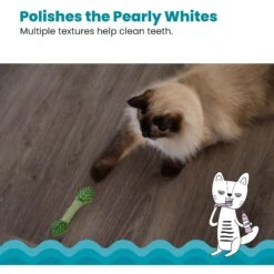 Catstages Fresh Breath Mint Stick Cat Chew Toy -Pawfect Care 62044 PT3. AC SS1800 V1636513103