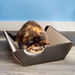 Omega Paw Ripple Board Scratch Massage Cat Bed -Pawfect Care 62557 PT8. AC SS1800 V1497022713
