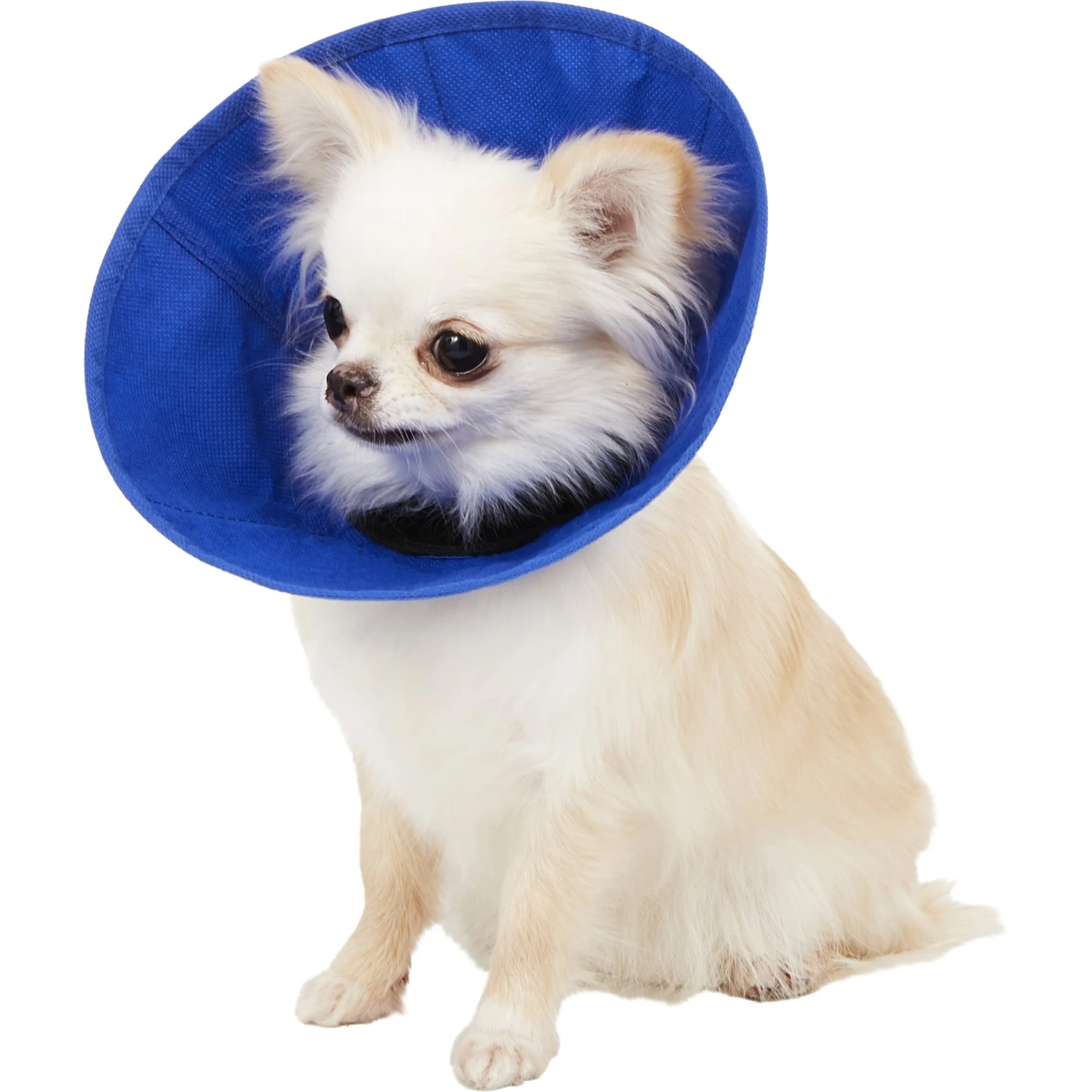 KONG EZ Soft Collar For Dogs & Cats 3 KONG EZ Soft Collar For Dogs & Cats