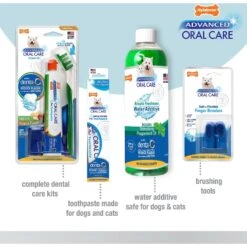 Nylabone Advanced Oral Care Original Flavor Cat Dental Kit, 3 Count -Pawfect Care 62931 PT4. AC SS1800 V1641585997
