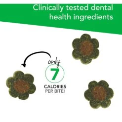 VetriScience Perio Plus Everyday Health Feline Bites Dental Cat Treats -Pawfect Care 63108 PT3. AC SS1800 V1558471330