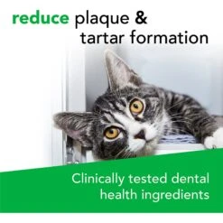 VetriScience Perio Plus Everyday Health Feline Bites Dental Cat Treats -Pawfect Care 63108 PT4. AC SS1800 V1558471318