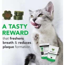VetriScience Perio Plus Everyday Health Feline Bites Dental Cat Treats -Pawfect Care 63108 PT6. AC SS1800 V1558471327