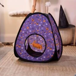 Goody Box Halloween Cat Toys & Treats -Pawfect Care 631182 PT4. AC SS1800 V1690839980