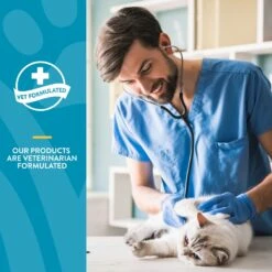 NaturVet Quiet Moments Soft Chews Calming Supplement For Cats -Pawfect Care 63788 PT5. AC SS1800 V1698696129