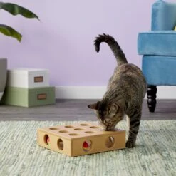 SmartCat Peek & Play Toy Box -Pawfect Care 64213 PT5. AC SS1800 V1527256118