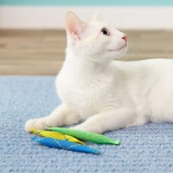 Pioneer Pet Catnip Toy Nip Nibblers -Pawfect Care 64216 PT8. AC SS1800 V1507562875