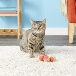 SmartCat Toy Box Balls, Color Varies -Pawfect Care 64222 PT5. AC SS1800 V1525719495