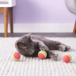 SmartCat Toy Box Balls, Color Varies -Pawfect Care 64222 PT6. AC SS1800 V1527256230