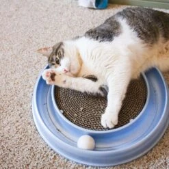 Bergan Scratcher Replacement Pads, 2 Count -Pawfect Care 64228 PT4. AC SS1800 V1673648563