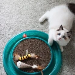 Bergan Replacement Twinkle Ball Cat Toy, Color Varies -Pawfect Care 64234 PT3. AC SS1800 V1673648559