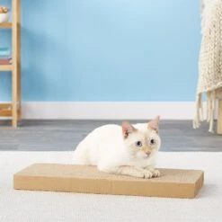 Scratch Lounge Reversible Replacement Scratch Floor Cat Toy -Pawfect Care 64395 PT5. AC SS1800 V1525720008
