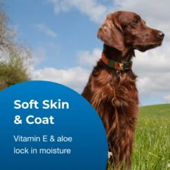 PetAg Fresh 'n Clean Soothing & Sensitive Waterless Hypoallergenic Cat Dog & Small-Pet Shampoo, 9-oz Bottle 9 PetAg Fresh 'n Clean Soothing & Sensitive Waterless Hypoallergenic Cat Dog & Small-Pet Shampoo, 9-oz Bottle -Pawfect Care 645902 PT3. AC SS1800 V1667229073