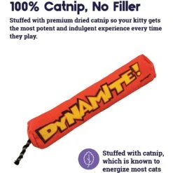 Catstages Magic Dynamite Cat Toy With Catnip -Pawfect Care 64657 PT1. AC SS1800 V1631690259