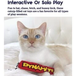 Catstages Magic Dynamite Cat Toy With Catnip -Pawfect Care 64657 PT2. AC SS1800 V1631684865
