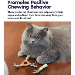 Catstages Dental Cat Chew Toy With Catnip, Color Varies -Pawfect Care 64661 PT3. AC SS1800 V1636497150