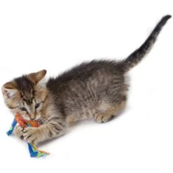 Catstages Dental Cat Chew Toy With Catnip, Color Varies -Pawfect Care 64661 PT5. AC SS1800 V1636519583
