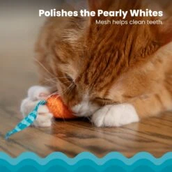 Catstages Mice Cat Chew Toy With Catnip -Pawfect Care 64672 PT2. AC SS1800 V1636506377