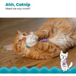 Catstages Mice Cat Chew Toy With Catnip -Pawfect Care 64672 PT3. AC SS1800 V1636517204