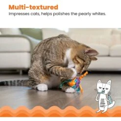 Catstages Tons Of Tails Cat Toy With Catnip, Color Varies 11 Catstages Tons Of Tails Cat Toy With Catnip, Color Varies -Pawfect Care 64686 PT3. AC SS1800 V1636520631