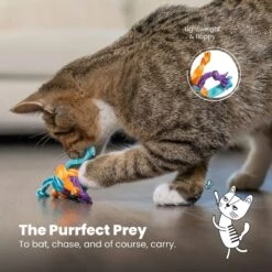 Catstages Tons Of Tails Cat Toy With Catnip, Color Varies 13 Catstages Tons Of Tails Cat Toy With Catnip, Color Varies -Pawfect Care 64686 PT5. AC SS1800 V1682521196