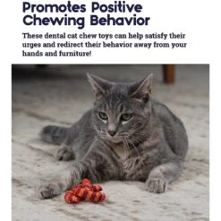 Catstages Plaque Away Pretzel Cat Toy With Catnip, Color Varies -Pawfect Care 64689 PT3. AC SS1800 V1631685732