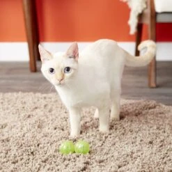 Catit Design Senses Circuit Motion Activated Illuminated Balls Cat Toy -Pawfect Care 64982 PT5. AC SS1800 V1527256178