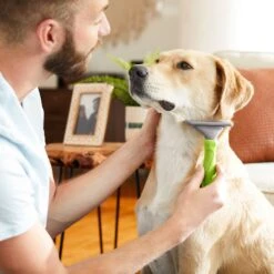 Frisco 71-in Faux Fur Cat Tree & Condo & Frisco Deshedding Dog & Cat Brush -Pawfect Care 660294 PT7. AC SS1800 V1666839309