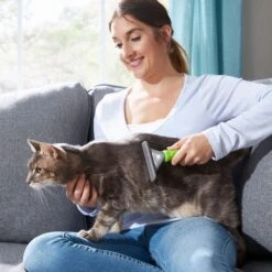 Frisco 71-in Faux Fur Cat Tree & Condo & Frisco Deshedding Dog & Cat Brush -Pawfect Care 660294 PT8. AC SS1800 V1666838810